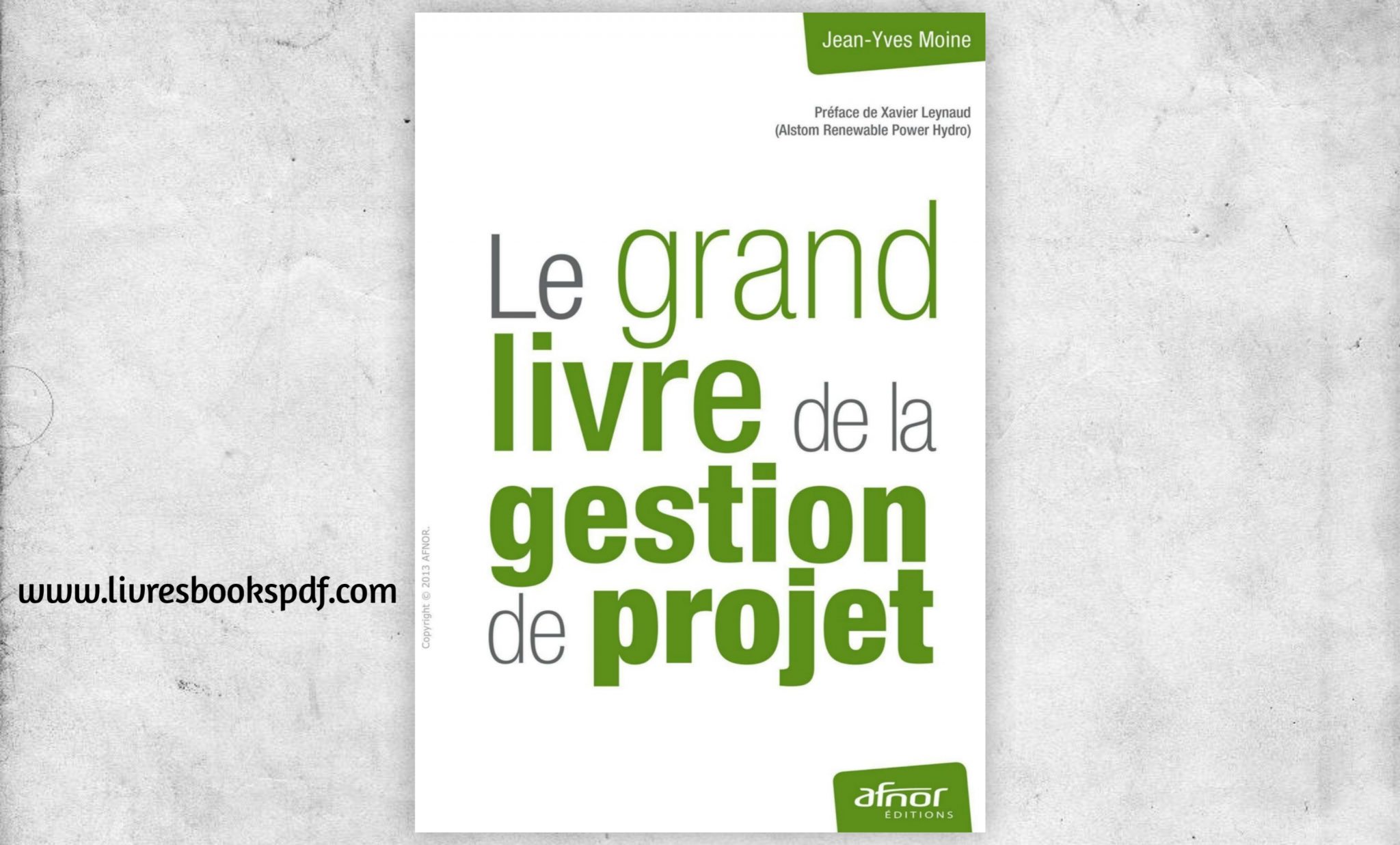 Le Grand Livre De La Gestion De Projet Livres Books Pdf 9574