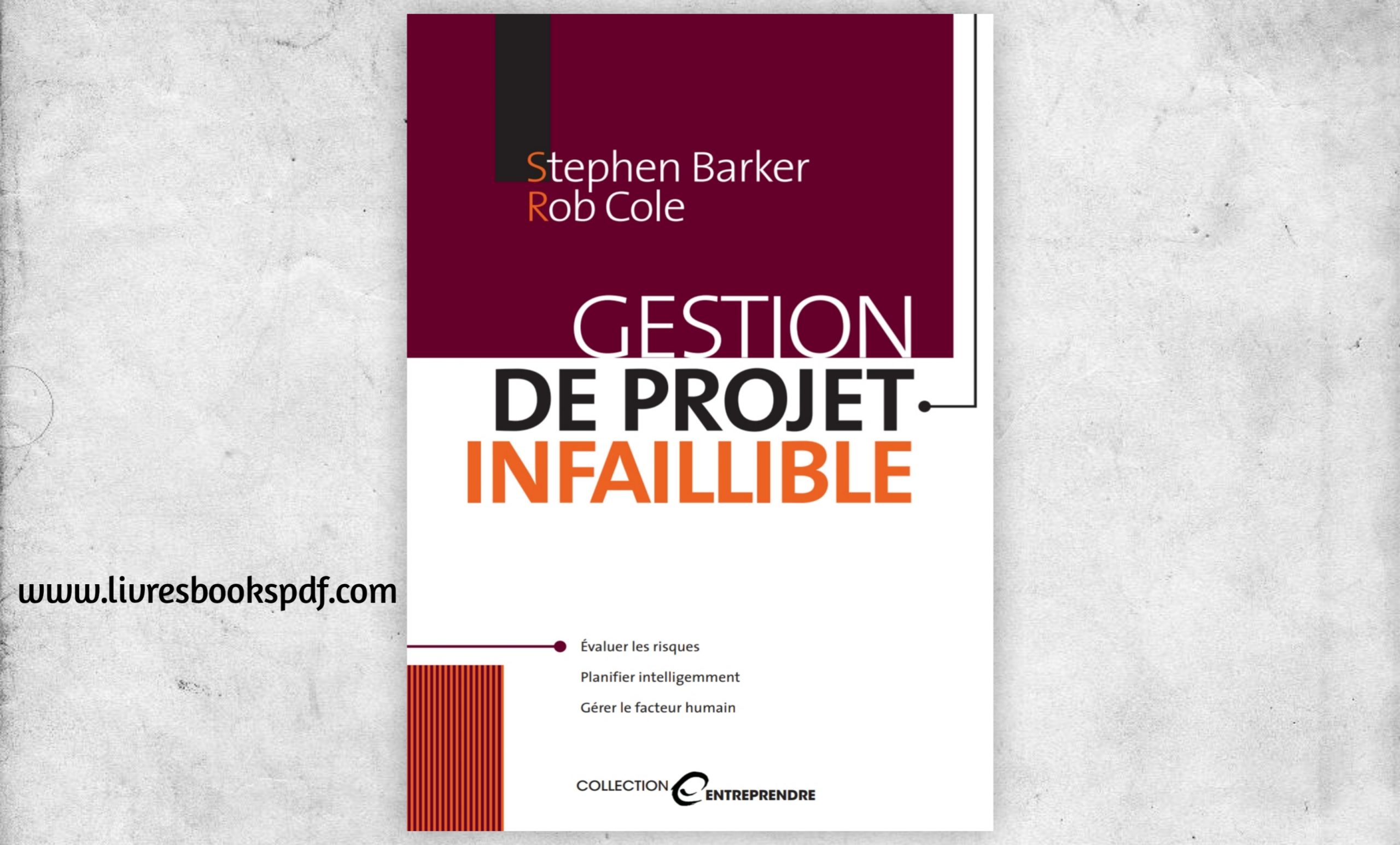 Gestion De Projet Infaillible Livres Books Pdf